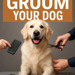 Proper Dog Grooming: Step-by-Step Guide (PDF)